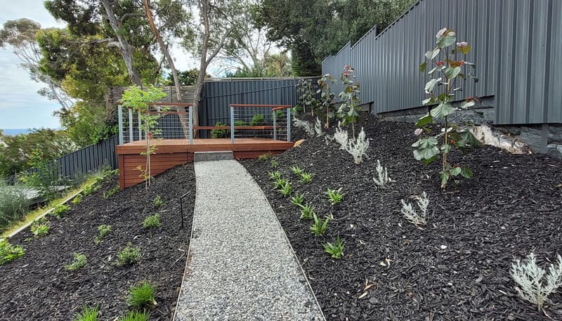 Contemporary garden design with structured beds and architectural plants in Sydney