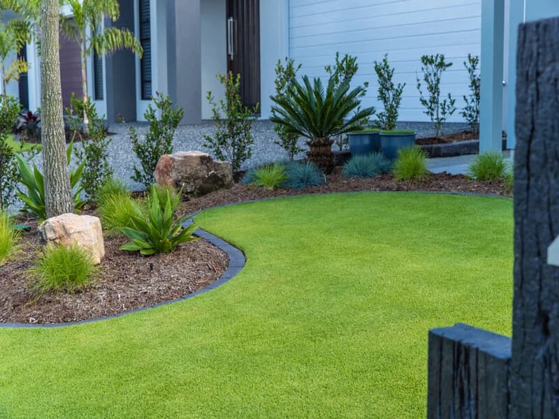 Professional lawn installation with premium turf establishment in Sydney by Nazscapes