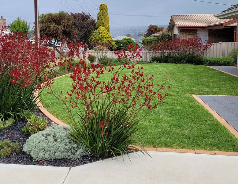 Synthetic turf installation for low-maintenance lawn solutions in Sydney