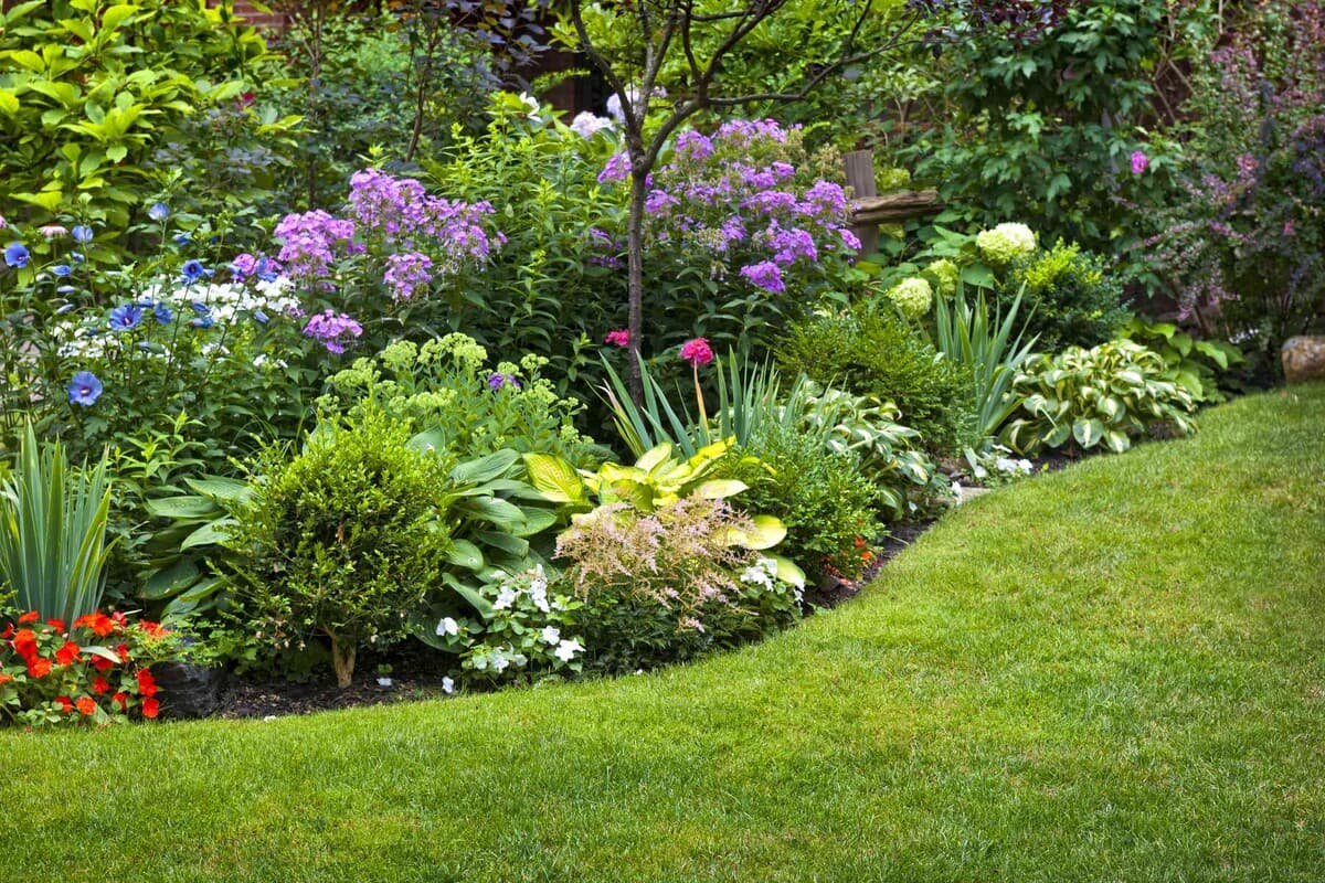 Garden Landscaping Cost Sydney 2026: What a Real Garden Scope Includes