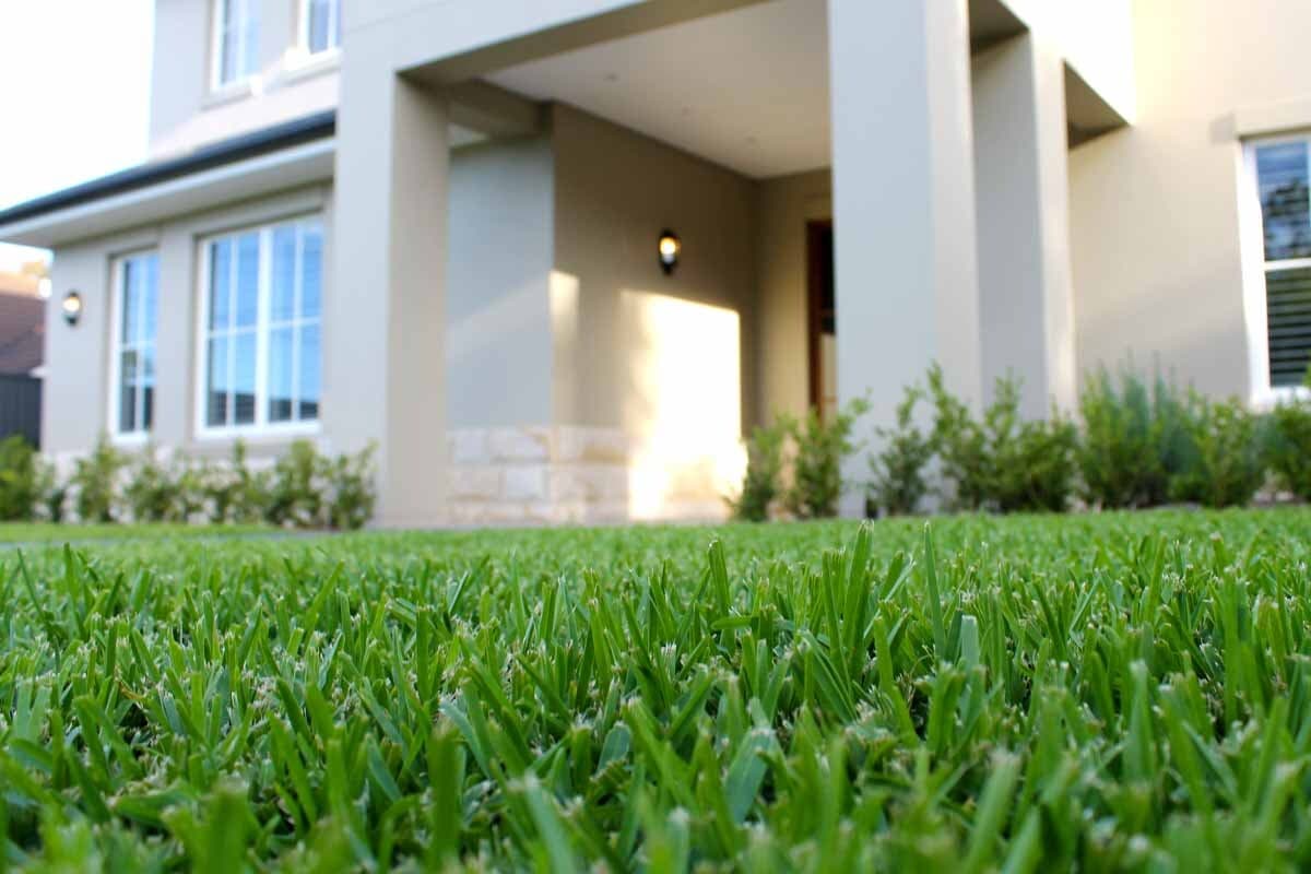 Turfing Cost Sydney 2026: Natural and Synthetic Lawn Pricing