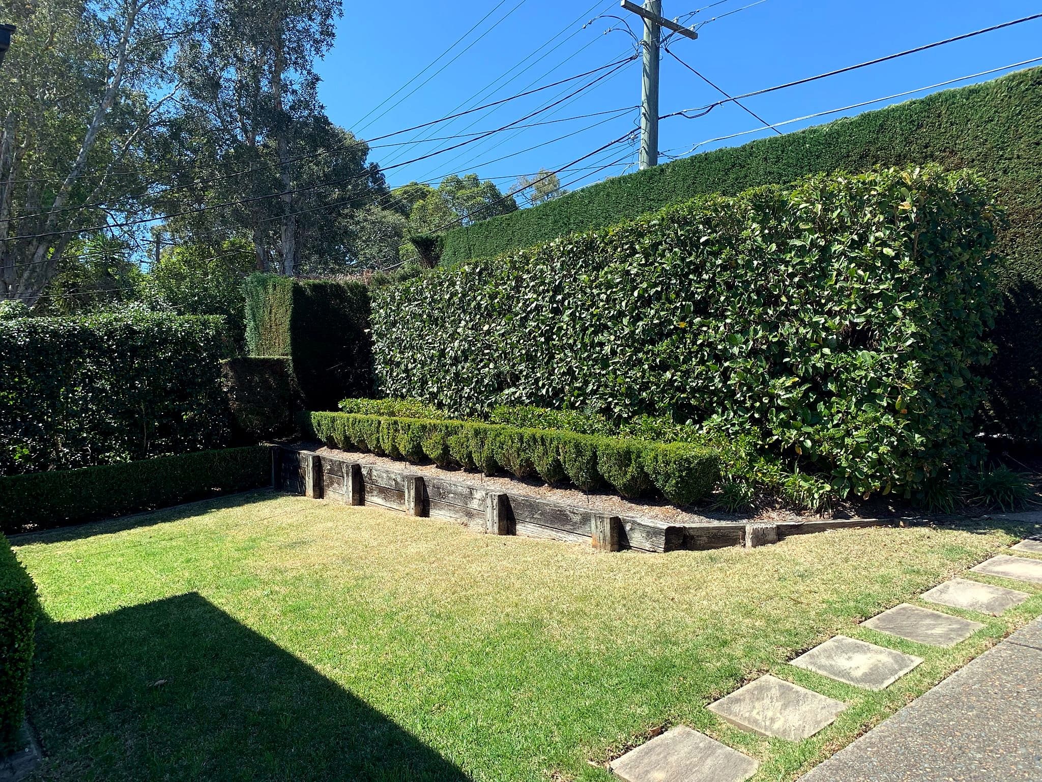 Formal clipped hedge and paved front garden path in Hunters Hill by Nazscapes