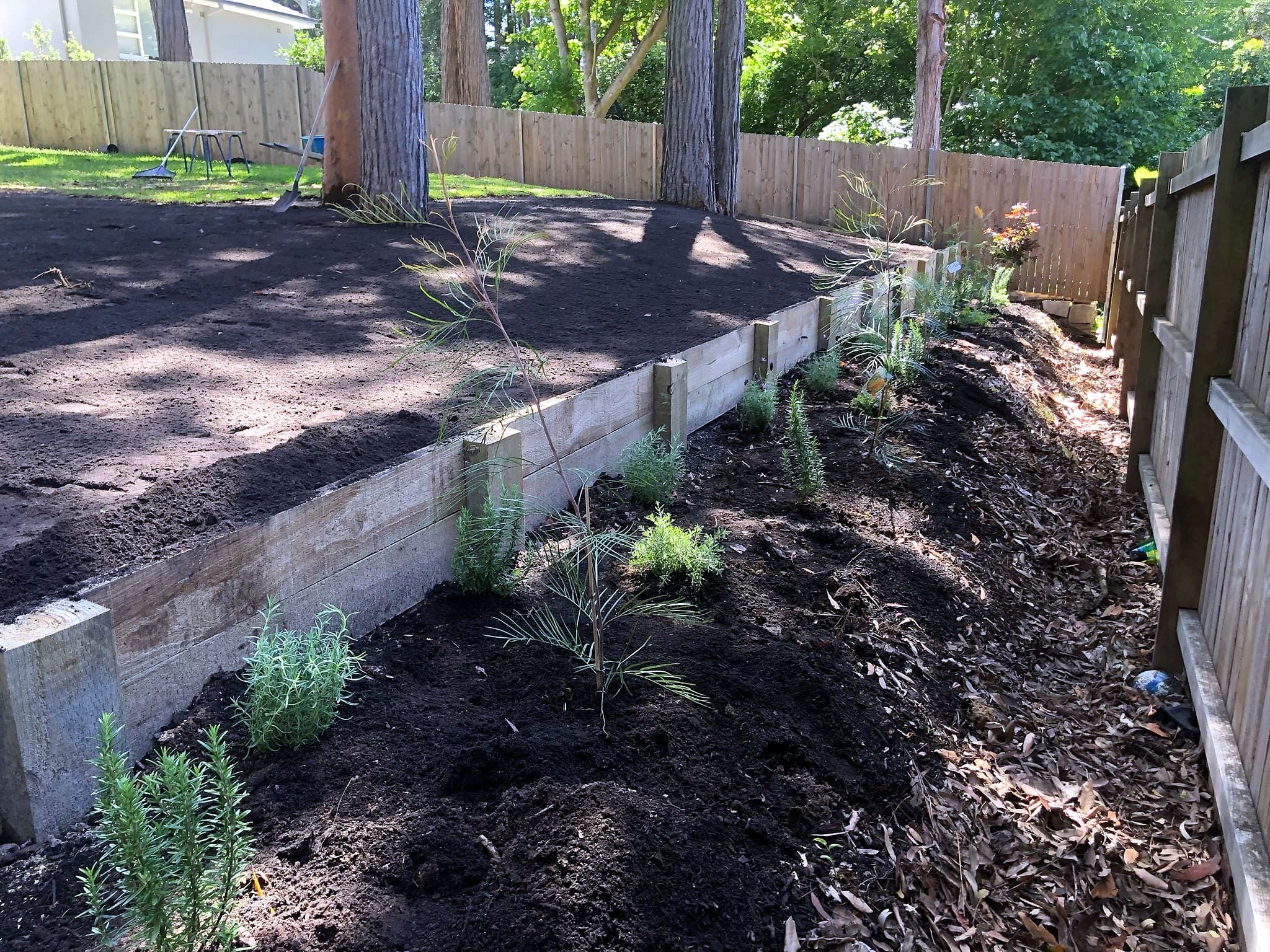 Finished side yard planting with retained garden edge in Wahroonga by Nazscapes