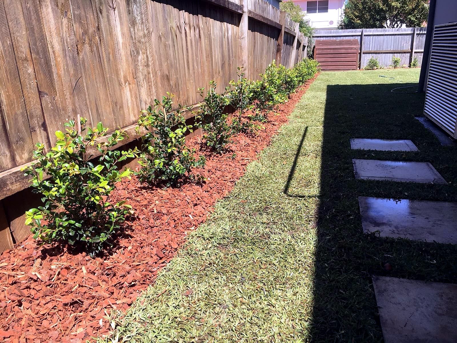 Finished side yard turf and planting strip in West Ryde by Nazscapes