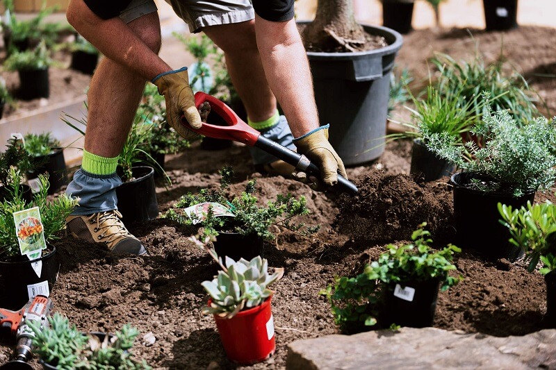 Gardening Services in Carlingford