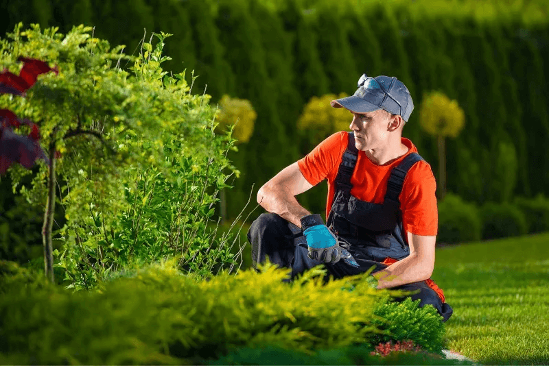 Local Landscapers Hills District