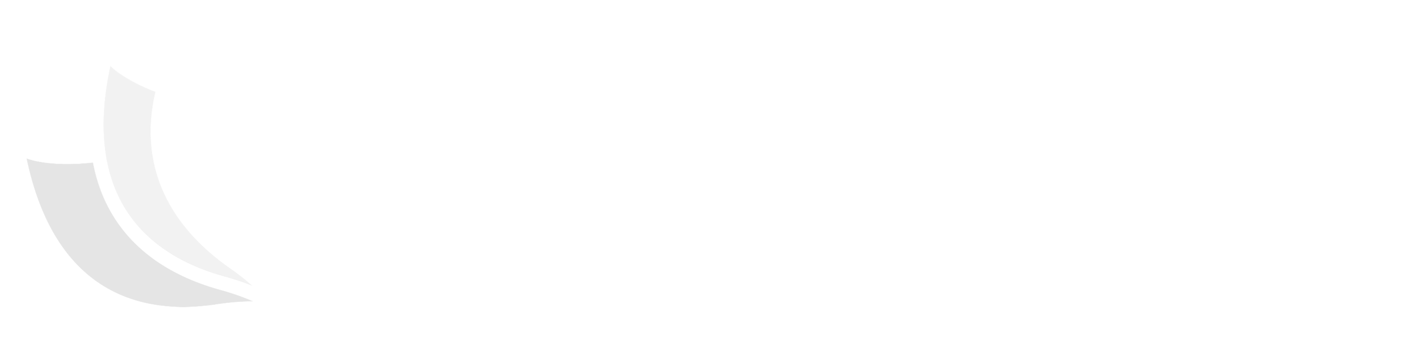 Nazscapes Logo